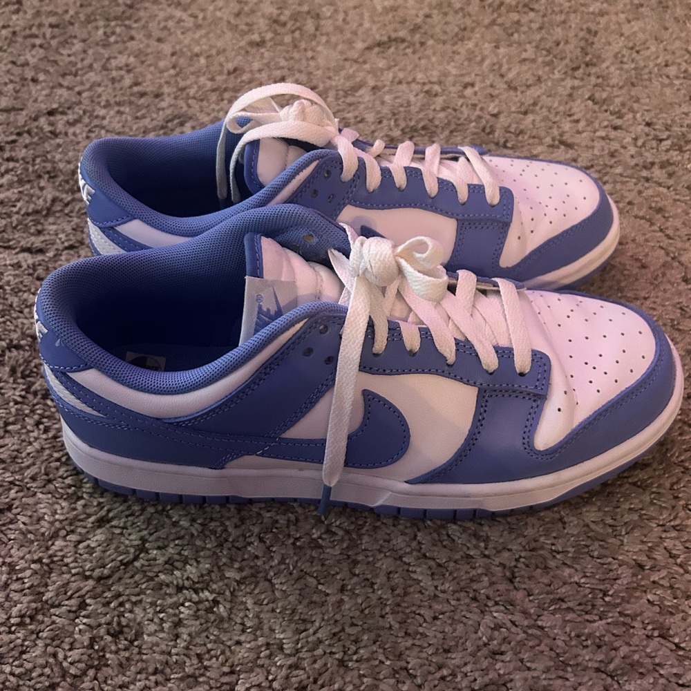 Nike Low Dunks Polar Blue